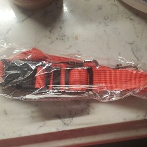 Adjustable Red Dog Collar
